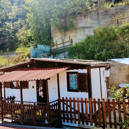 Bungalow Sixdays 2 Camporosso (Liguria) Exterior foto