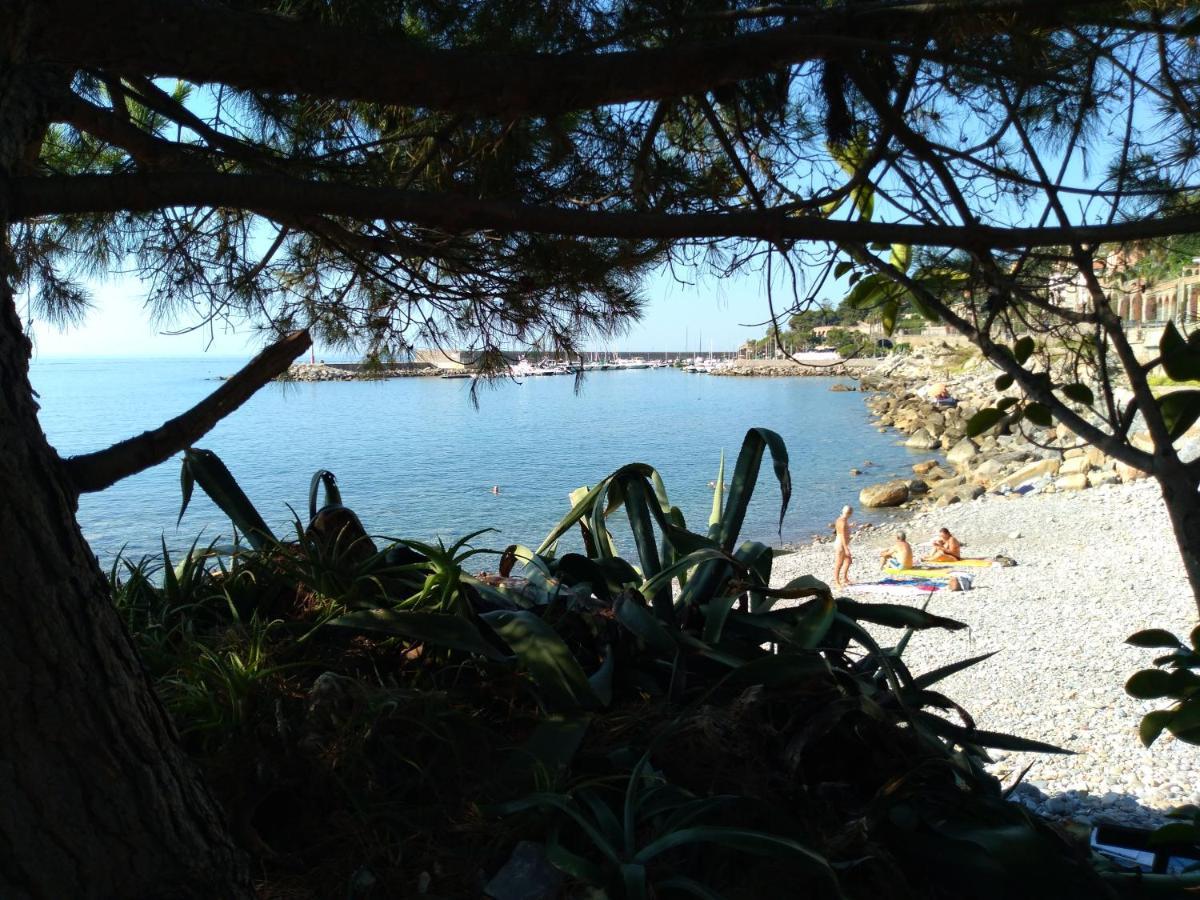 Bungalow Sixdays 2 Camporosso (Liguria) Exterior foto
