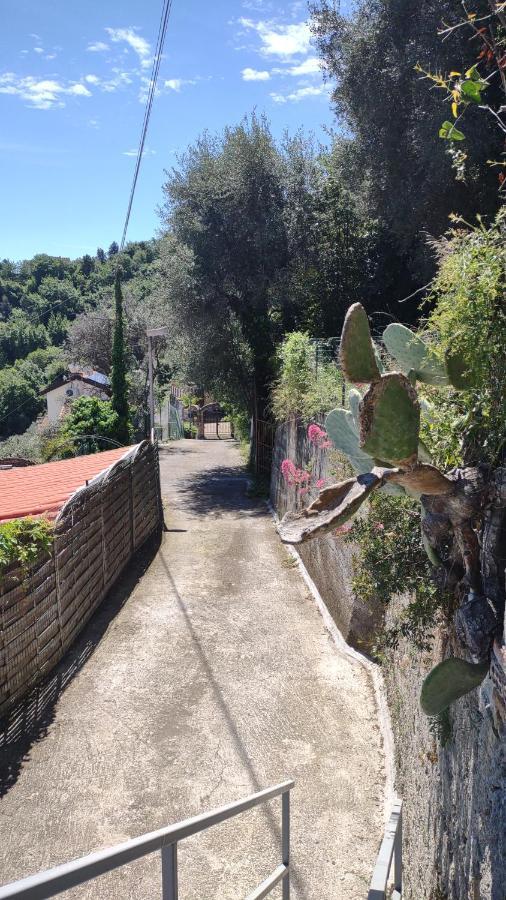 Bungalow Sixdays 2 Camporosso (Liguria) Exterior foto