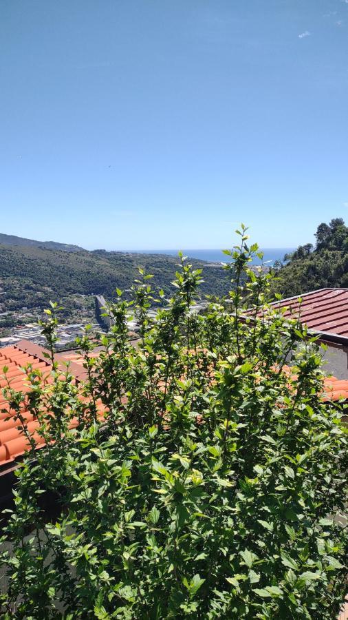 Bungalow Sixdays 2 Camporosso (Liguria) Exterior foto